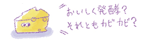 おいしく発酵？　それともカビカビ？