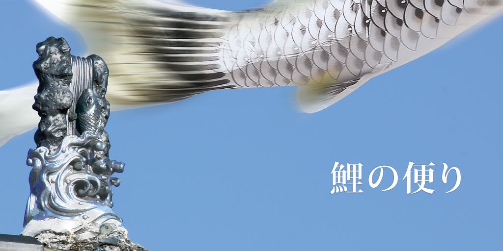 鯉の便り