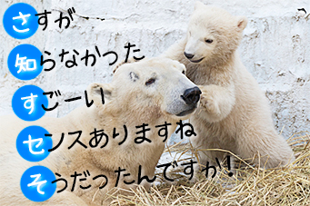 ほめる白熊
